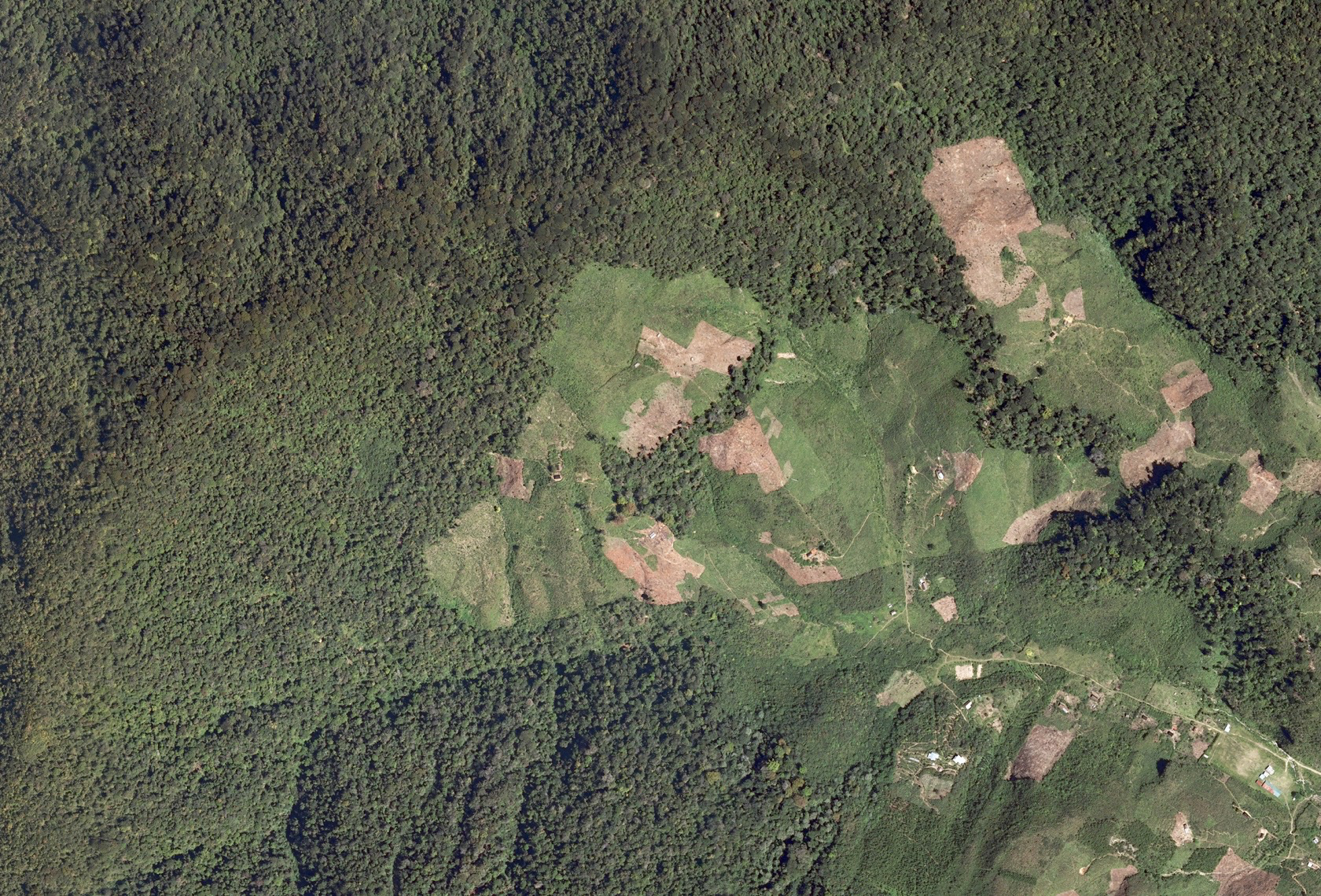 Deforestation - Community Cloud Forest Conservation