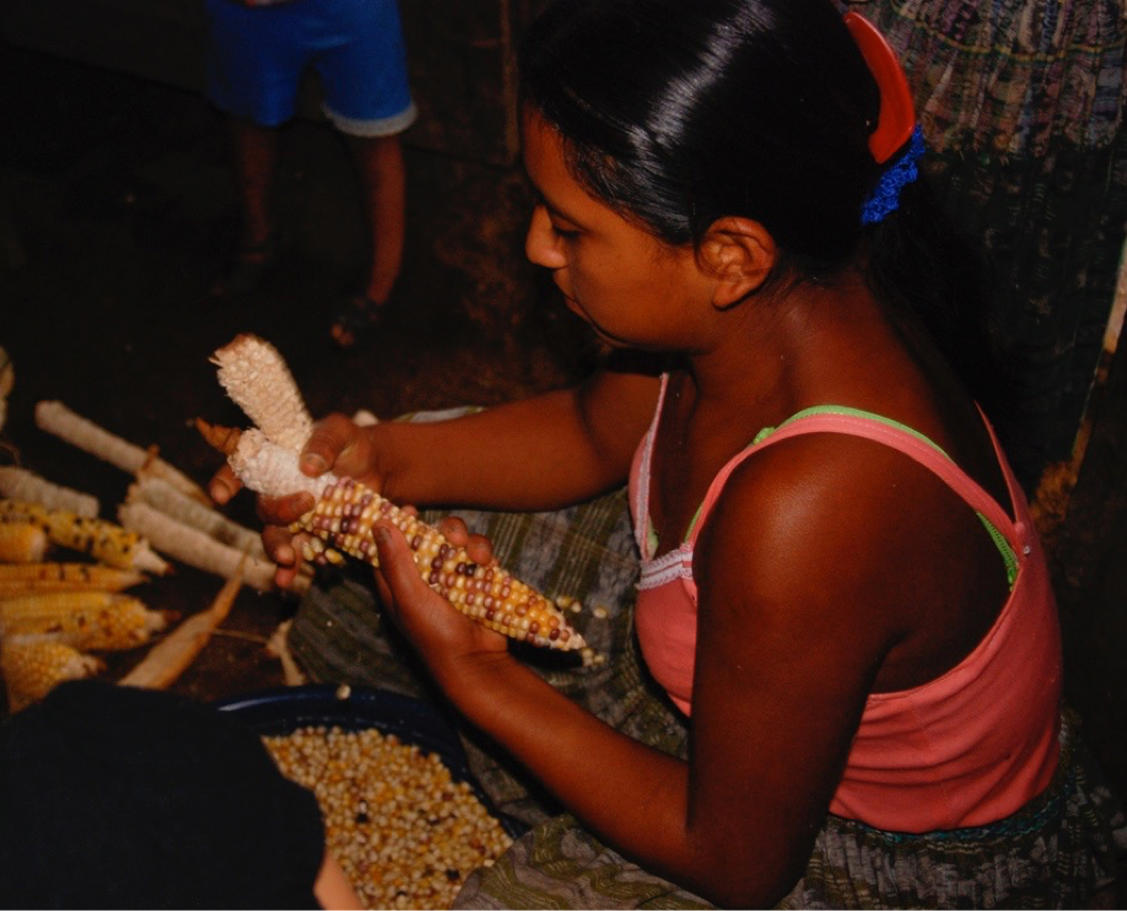 Iximak shelling corn