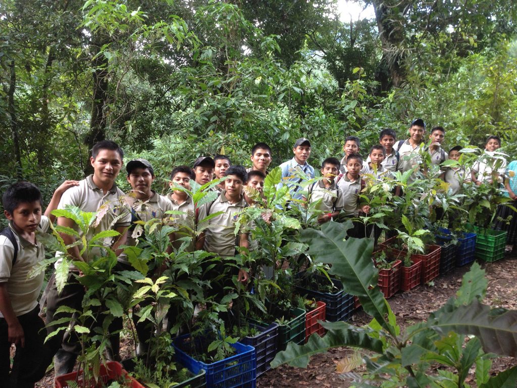 Volunteer reforest an illegally deforested hillside.