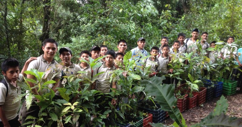 Liceo Javier Reforestation Project