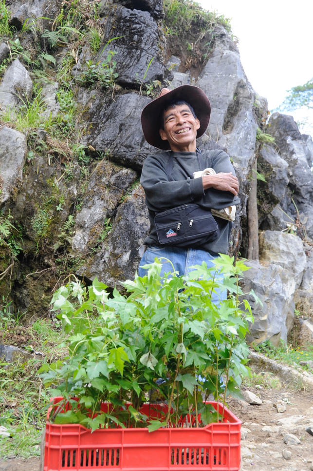 Reforestation man from Sesalche