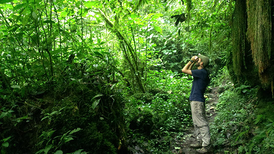 Birds and Cloud Forests - Community Cloud Forest Conservation